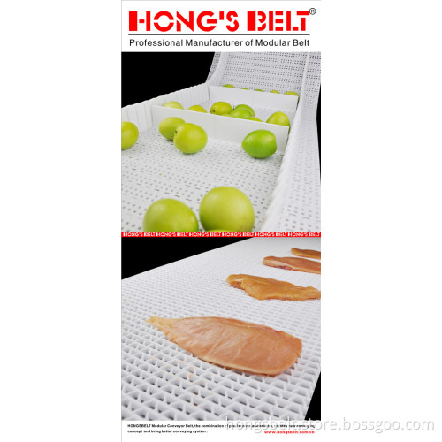 25.4mm Pitch Food Industry Conveyor Belt